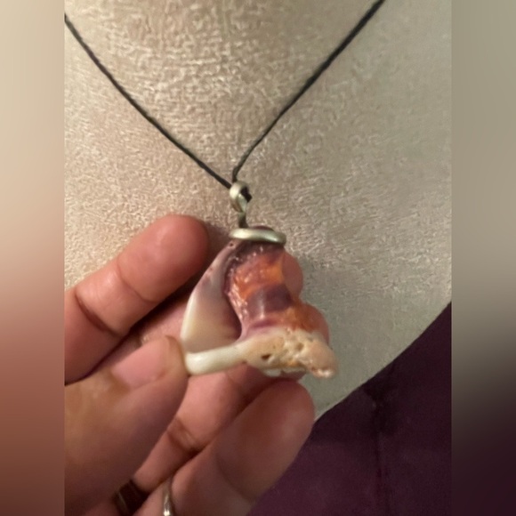 Large Shell Necklace - Picture 5 of 5